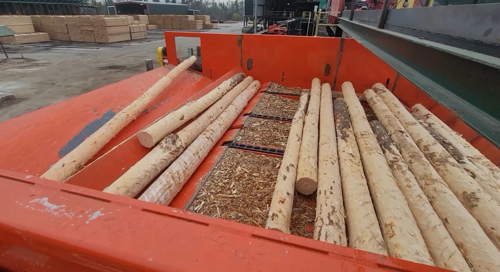 Logs on a quad-style log pusher's plated lift shelf